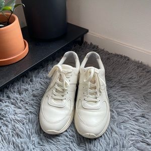 Everlane Leather Sneaker